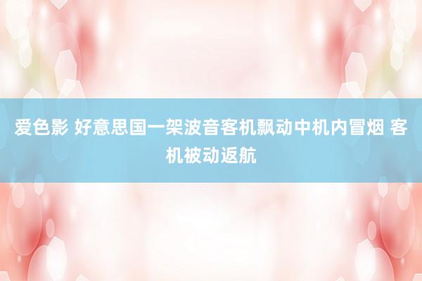 爱色影 好意思国一架波音客机飘动中机内冒烟 客机被动返航