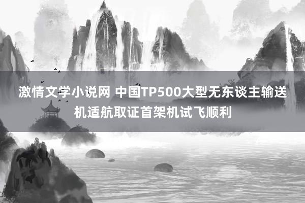 激情文学小说网 中国TP500大型无东谈主输送机适航取证首架机试飞顺利