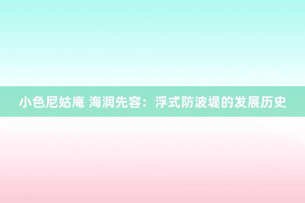 小色尼姑庵 海润先容：浮式防波堤的发展历史