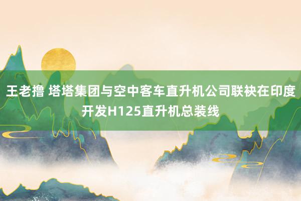 王老撸 塔塔集团与空中客车直升机公司联袂在印度开发H125直升机总装线