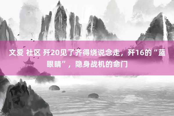 文爱 社区 歼20见了齐得绕说念走，歼16的“蓝眼睛”，隐身战机的命门