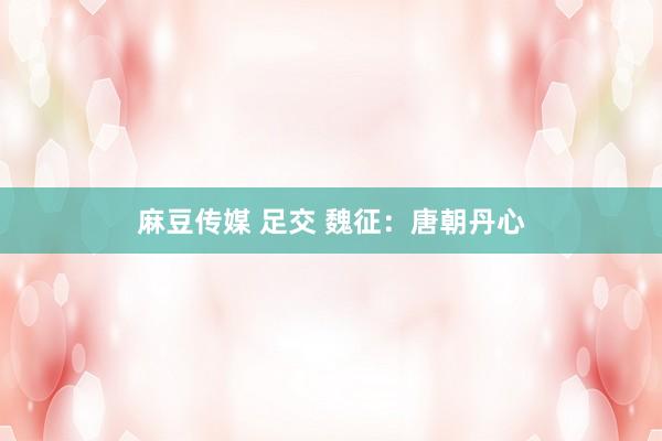 麻豆传媒 足交 魏征：唐朝丹心