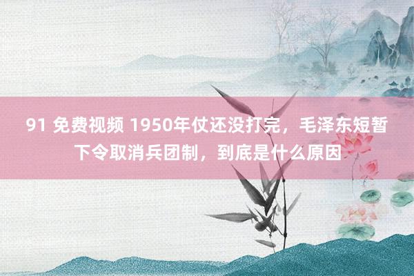 91 免费视频 1950年仗还没打完，毛泽东短暂下令取消兵团制，到底是什么原因