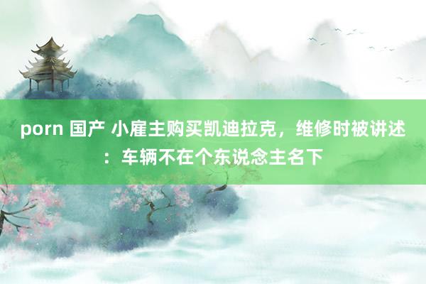 porn 国产 小雇主购买凯迪拉克，维修时被讲述：车辆不在个东说念主名下