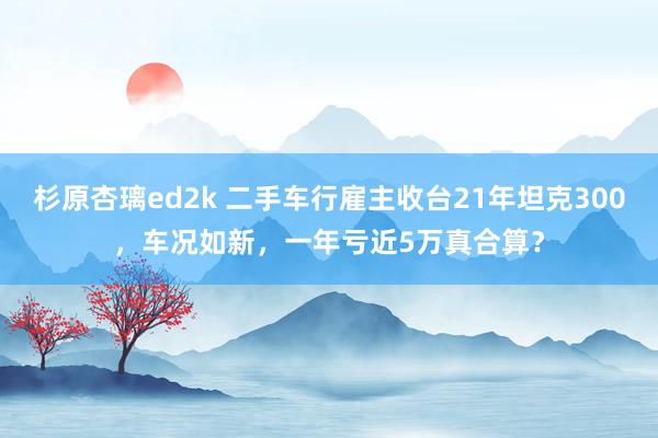 杉原杏璃ed2k 二手车行雇主收台21年坦克300，车况如新，一年亏近5万真合算？