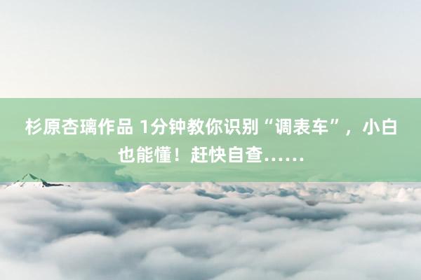 杉原杏璃作品 1分钟教你识别“调表车”，小白也能懂！赶快自查……
