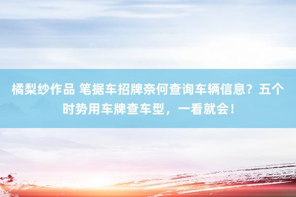 橘梨纱作品 笔据车招牌奈何查询车辆信息？五个时势用车牌查车型，一看就会！