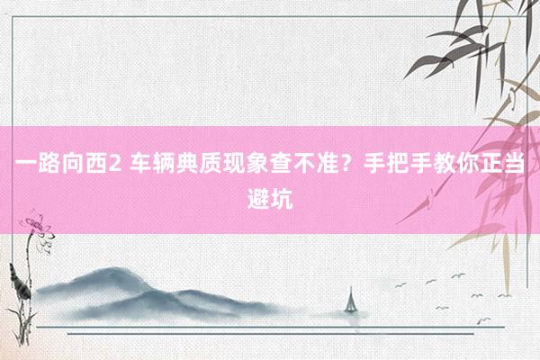 一路向西2 车辆典质现象查不准？手把手教你正当避坑