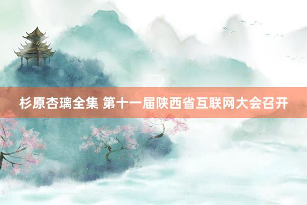 杉原杏璃全集 第十一届陕西省互联网大会召开