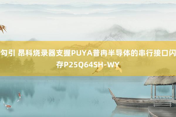 勾引 昂科烧录器支握PUYA普冉半导体的串行接口闪存P25Q64SH-WY