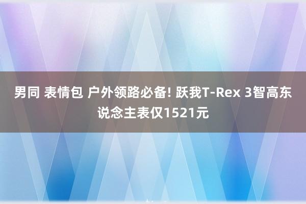 男同 表情包 户外领路必备! 跃我T-Rex 3智高东说念主表仅1521元