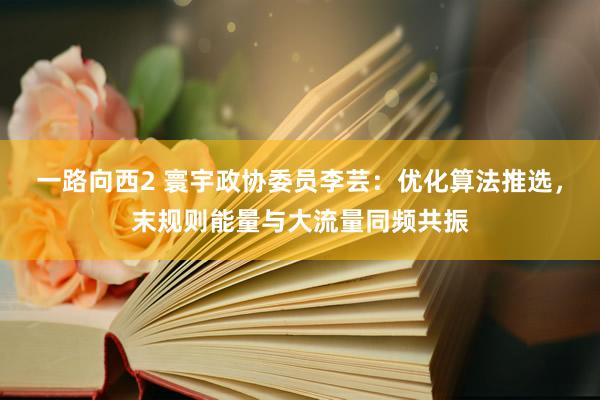 一路向西2 寰宇政协委员李芸：优化算法推选，末规则能量与大流量同频共振