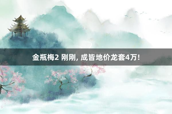 金瓶梅2 刚刚, 成皆地价龙套4万!