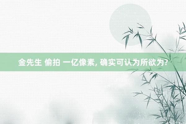 金先生 偷拍 一亿像素, 确实可认为所欲为?