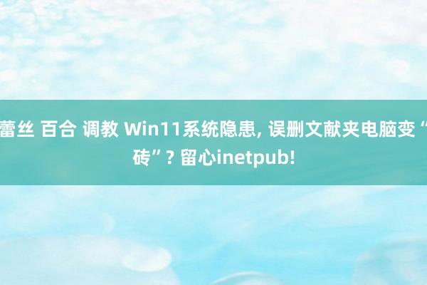 蕾丝 百合 调教 Win11系统隐患, 误删文献夹电脑变“砖”? 留心inetpub!