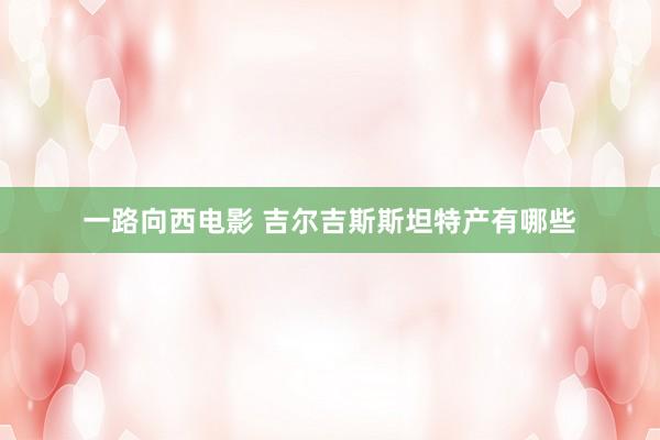 一路向西电影 吉尔吉斯斯坦特产有哪些