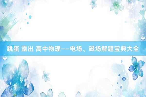 跳蛋 露出 高中物理——电场、磁场解题宝典大全