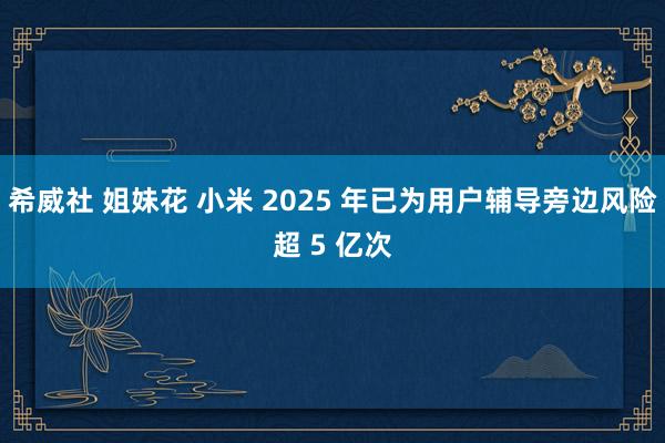 希威社 姐妹花 小米 2025 年已为用户辅导旁边风险超 5 亿次