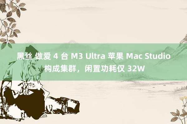 黑丝 做爱 4 台 M3 Ultra 苹果 Mac Studio 构成集群，闲置功耗仅 32W