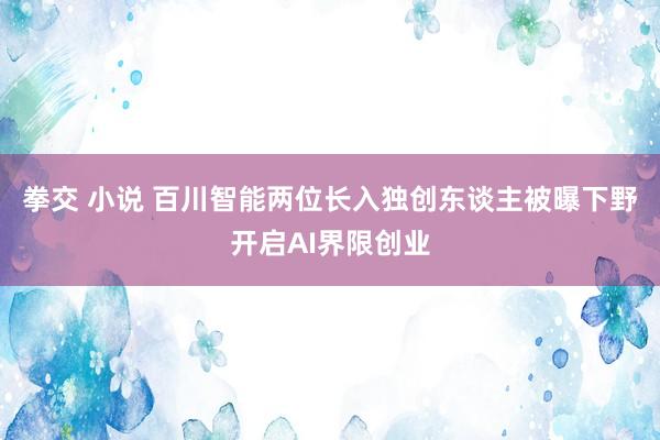拳交 小说 百川智能两位长入独创东谈主被曝下野开启AI界限创业