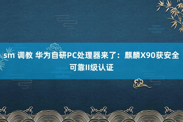 sm 调教 华为自研PC处理器来了：麒麟X90获安全可靠II级认证