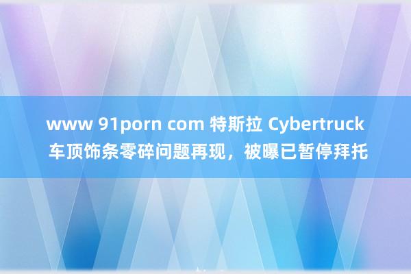 www 91porn com 特斯拉 Cybertruck 车顶饰条零碎问题再现，被曝已暂停拜托